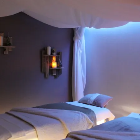Le Dauphin Hotell 3*
