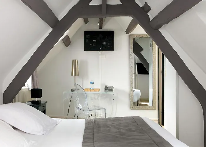 Le Dauphin 酒店 3*