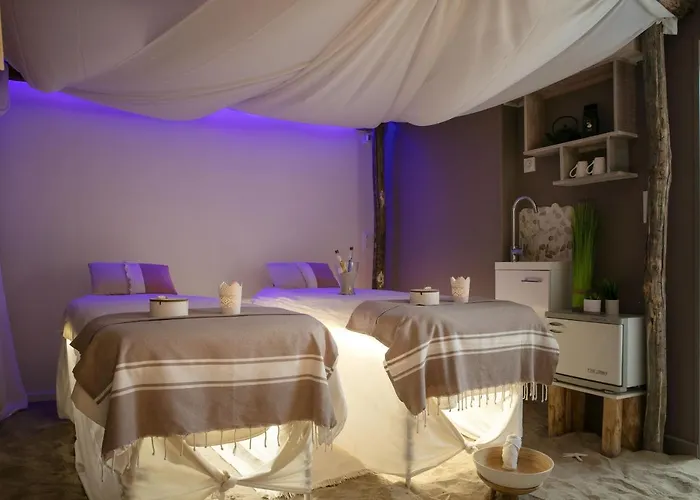 Le Dauphin 3* 翁弗勒尔