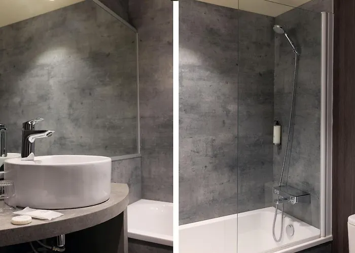 Le Dauphin ホテル 3*