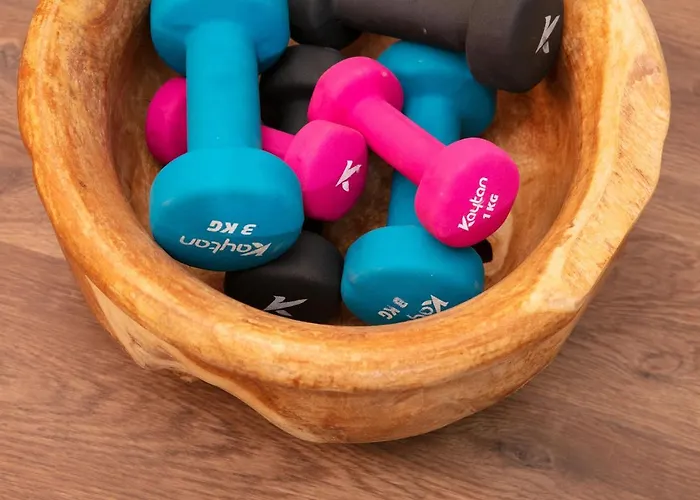 ホテル Le Dauphin