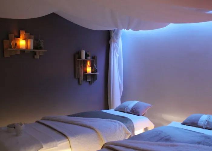 Le Dauphin ホテル 3*