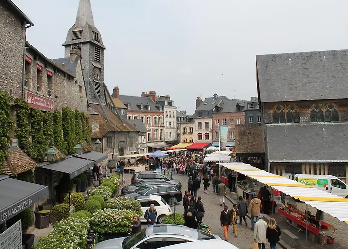 酒店 Le Dauphin 3*